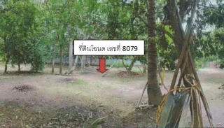 รูปทรัพย์ 2