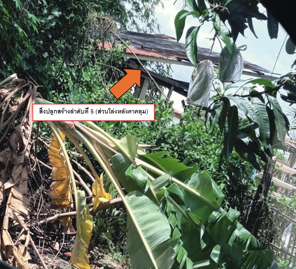 ขายทอดตลาด ที่ดินพร้อมสิ่งปลูกสร้าง ต.สำราญราษฎร์ อ.ดอยสะเก็ด จ.เชียงใหม่