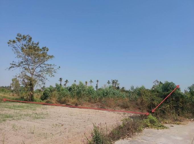 ขายทอดตลาด ที่ดินว่างเปล่า ต.วังชะพลู อ.ขาณุวรลักษบุรี จ.กำแพงเพชร