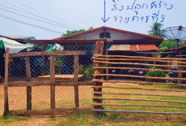ขายทอดตลาด ที่ดินพร้อมสิ่งปลูกสร้าง ต.หนองหัววัว อ.พรานกระต่าย จ.กำแพงเพชร