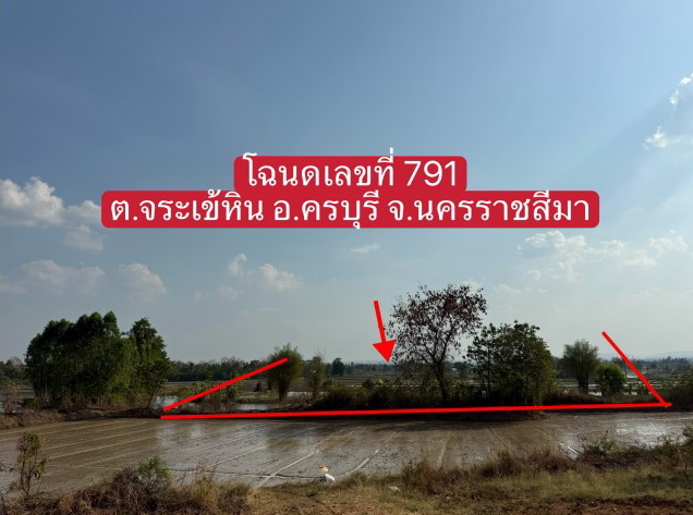 ขายทอดตลาด ที่ดินว่างเปล่า ต.จระเข้หิน อ.ครบุรี จ.นครราชสีมา
