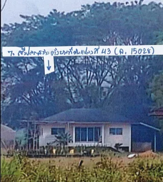 รูปทรัพย์ 3