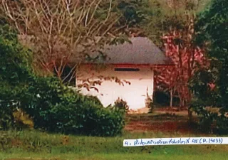 รูปทรัพย์ 7