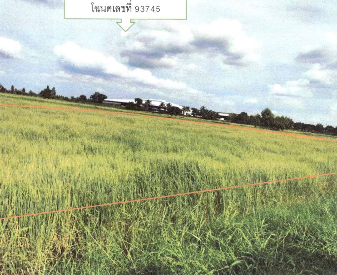 ขายทอดตลาด ที่ดินว่างเปล่า ต.ธารปราสาท อ.โนนสูง จ.นครราชสีมา