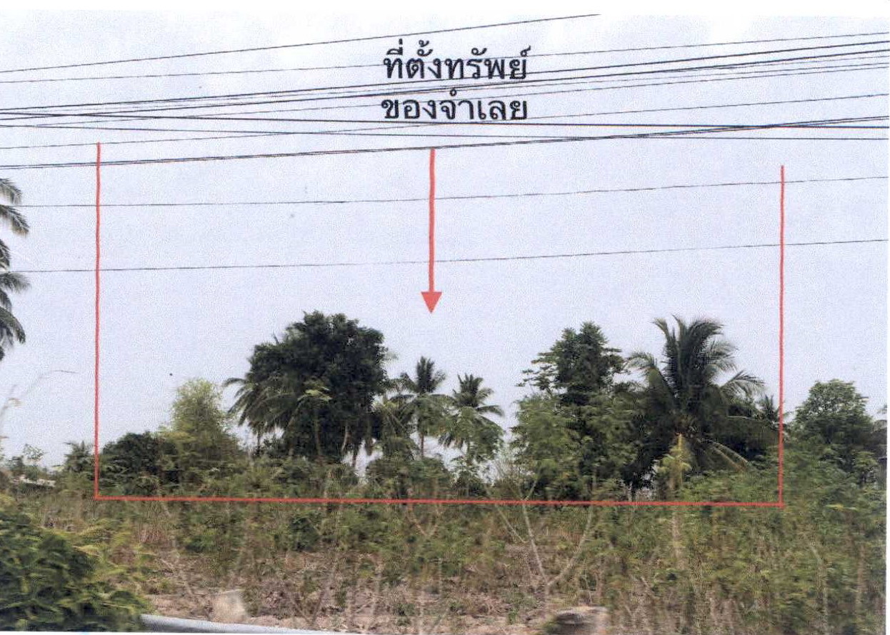 ขายทอดตลาด ที่ดินว่างเปล่า ต.วังควง อ.พรานกระต่าย จ.กำแพงเพชร