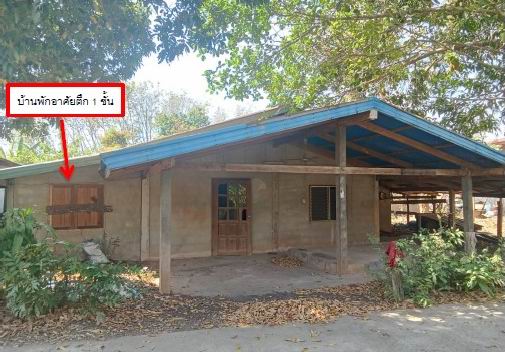 ขายทอดตลาด ที่ดินพร้อมสิ่งปลูกสร้าง ต.ดอนหญ้านาง อ.พรเจริญ จ.บึงกาฬ