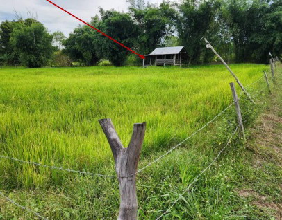 ขายทอดตลาด ที่ดินพร้อมสิ่งปลูกสร้าง ต.หนองบัว อ.หนองกุงศรี จ.กาฬสินธุ์