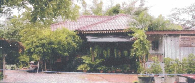 ขายทอดตลาด ที่ดินพร้อมสิ่งปลูกสร้าง ต.ใหม่ อ.โนนสูง จ.นครราชสีมา