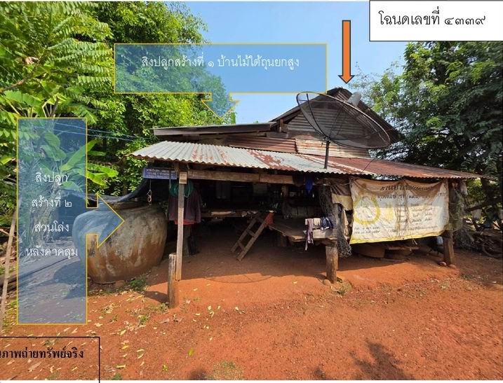 ขายทอดตลาด ที่ดินพร้อมสิ่งปลูกสร้าง ต.เสิงสาง อ.เสิงสาง จ.นครราชสีมา
