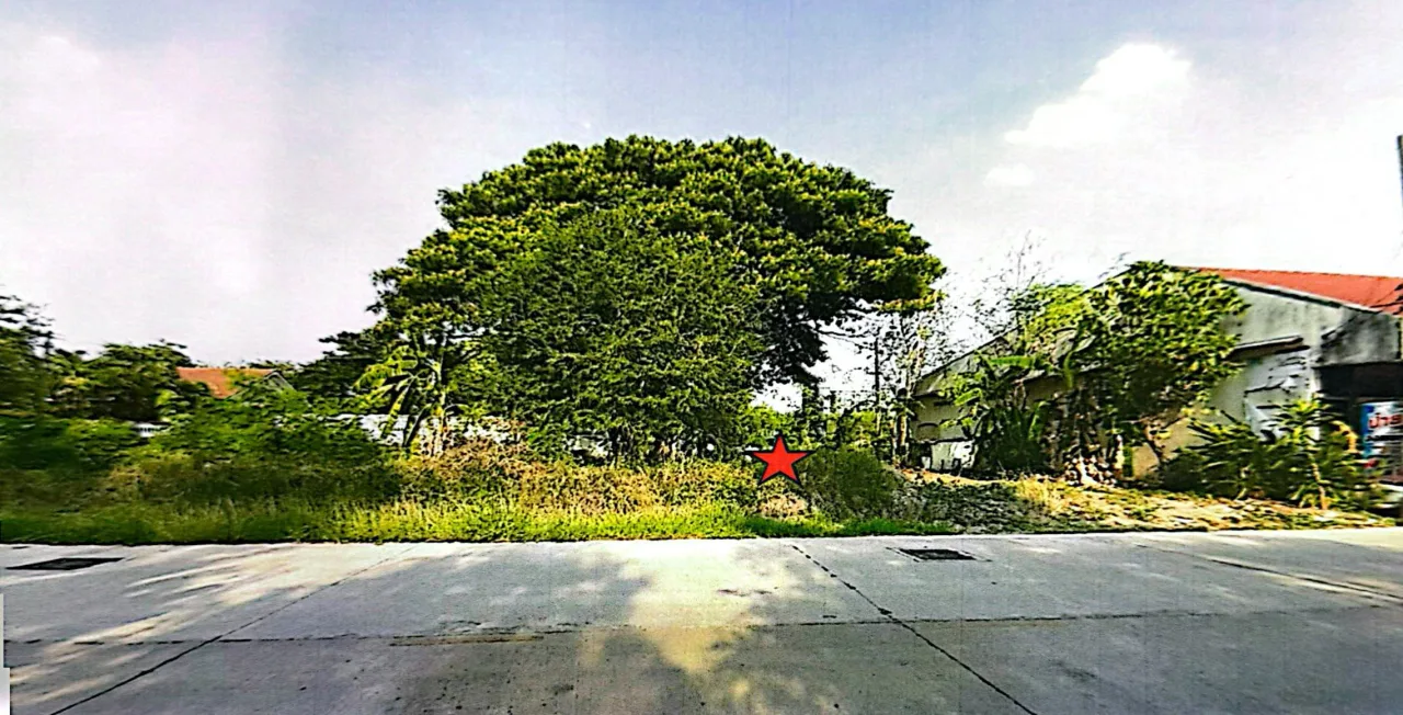 ขายทอดตลาด ที่ดินว่างเปล่า ต.หนองจะบก อ.เมืองนครราชสีมา จ.นครราชสีมา