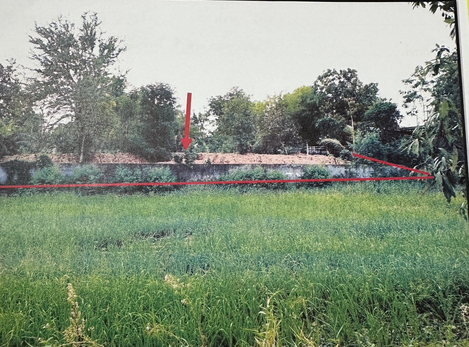 ขายทอดตลาด ที่ดินว่างเปล่า ต.ภูหลวง อ.ปักธงชัย จ.นครราชสีมา