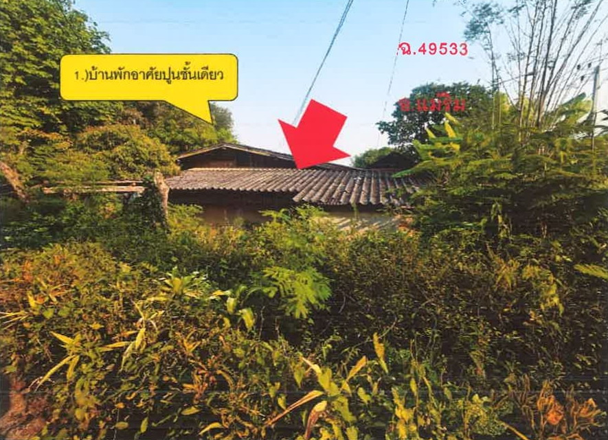 ขายทอดตลาด ที่ดินพร้อมสิ่งปลูกสร้าง ต.สะลวง อ.แม่ริม จ.เชียงใหม่