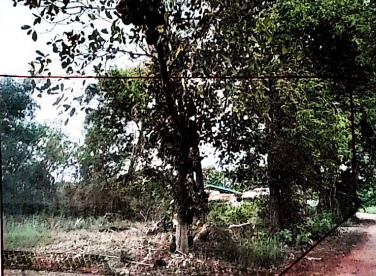 ขายทอดตลาด ที่ดินว่างเปล่า จ.บึงกาฬ