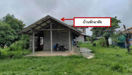 ขายทอดตลาด ที่ดินพร้อมสิ่งปลูกสร้าง ต.กุดหว้า อ.กุฉินารายณ์ จ.กาฬสินธุ์