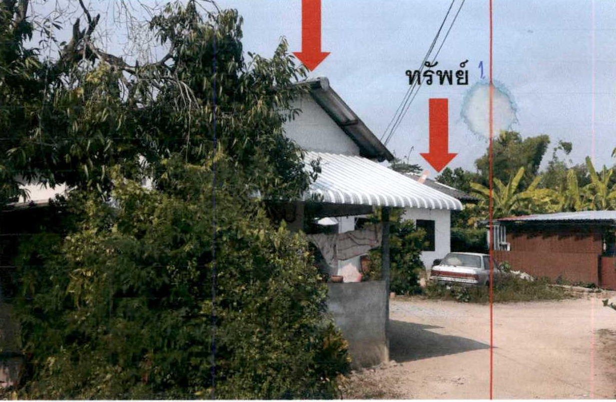 ขายทอดตลาด ที่ดินพร้อมสิ่งปลูกสร้าง ต.มะขามหลวง อ.สันป่าตอง จ.เชียงใหม่