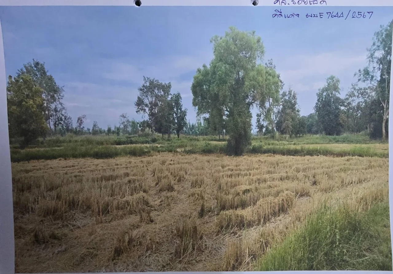 ขายทอดตลาด ที่ดินว่างเปล่า ต.ซาง อ.เซกา จ.บึงกาฬ