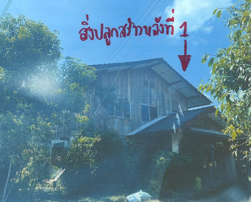 ขายทอดตลาด ที่ดินพร้อมสิ่งปลูกสร้าง ต.ร้องวัวแดง อ.สันกำแพง จ.เชียงใหม่