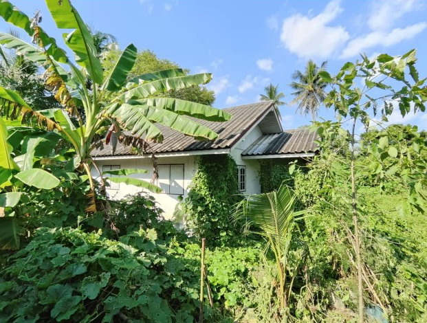 ขายทอดตลาด ที่ดินพร้อมสิ่งปลูกสร้าง ต.เกาะตาล อ.ขาณุวรลักษบุรี จ.กำแพงเพชร
