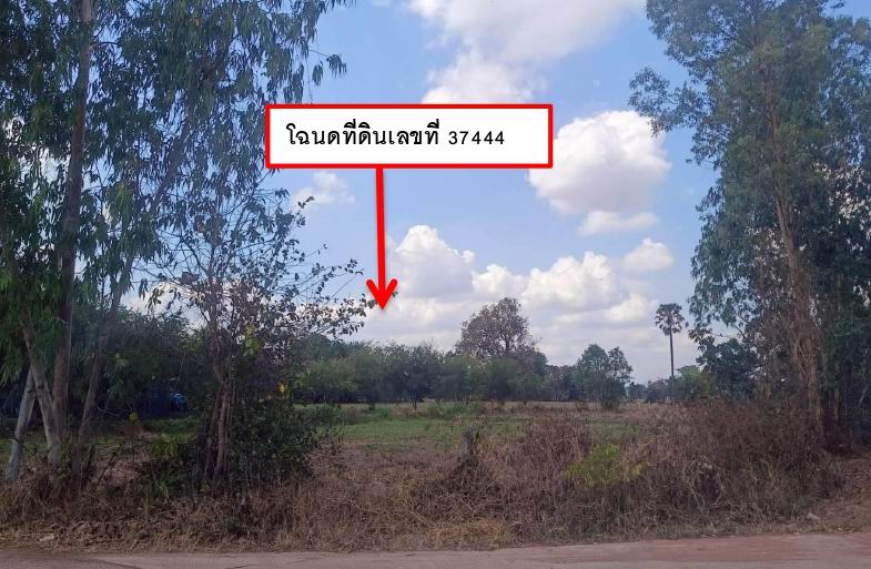 ขายทอดตลาด ที่ดินว่างเปล่า ต.พลสงคราม อ.โนนสูง จ.นครราชสีมา