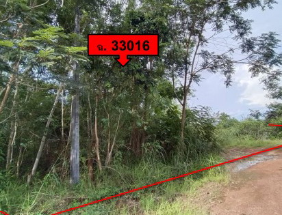 ขายทอดตลาด ที่ดินว่างเปล่า ต.วิศิษฐ์ อ.เมืองบึงกาฬ จ.บึงกาฬ