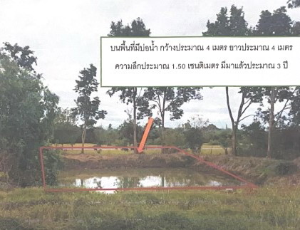 ขายทอดตลาด ที่ดินว่างเปล่า จ.บึงกาฬ