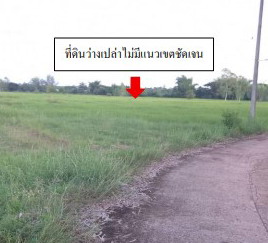 ขายทอดตลาด ที่ดินว่างเปล่า จ.บึงกาฬ