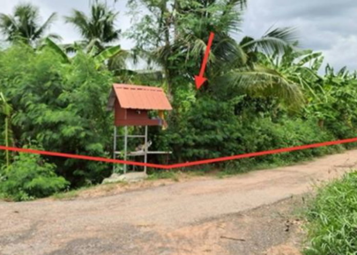 ขายทอดตลาด ที่ดินว่างเปล่า จ.นครราชสีมา