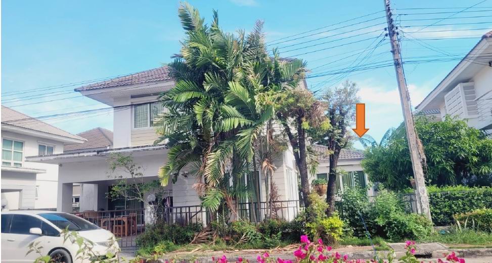 ขายทอดตลาด ที่ดินพร้อมสิ่งปลูกสร้าง ต.บางแม่นาง อ.บางใหญ่ จ.นนทบุรี