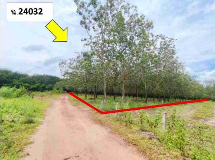 ขายทอดตลาด ที่ดินว่างเปล่า ต.โนนสมบูรณ์ อ.เมืองบึงกาฬ จ.บึงกาฬ