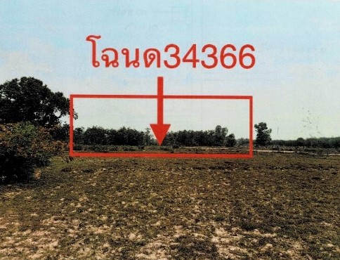 ขายทอดตลาด ที่ดินว่างเปล่า จ.บึงกาฬ