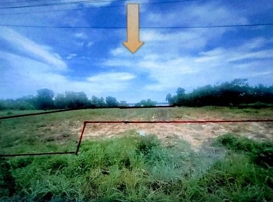 ขายทอดตลาด ที่ดินว่างเปล่า ต.บึงโขงหลง อ.บึงโขงหลง จ.บึงกาฬ