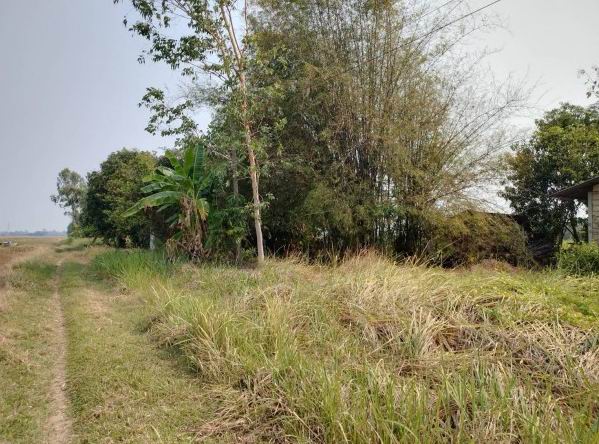 ขายทอดตลาด ที่ดินพร้อมสิ่งปลูกสร้าง ต.สระแก้ว อ.เมืองกำแพงเพชร จ.กำแพงเพชร