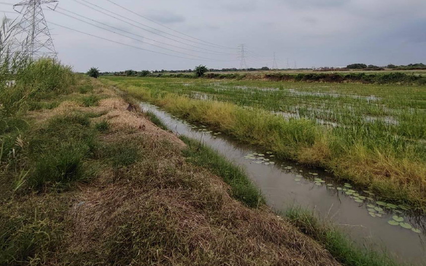 ขายทอดตลาด ที่ดินว่างเปล่า ต.ขุนศรี อ.ไทรน้อย จ.นนทบุรี