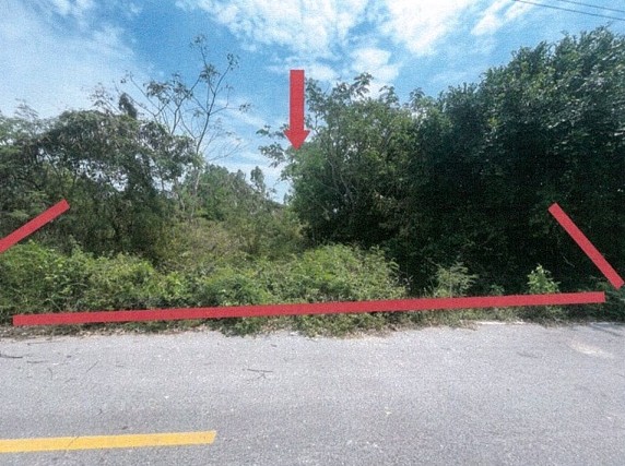 ขายทอดตลาด ที่ดินว่างเปล่า ต.โชคชัย อ.โชคชัย จ.นครราชสีมา
