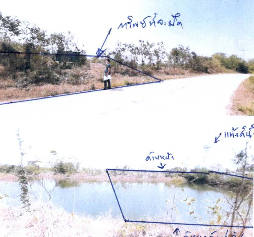 ขายทอดตลาด ที่ดินว่างเปล่า ต.พลสงคราม อ.โนนสูง จ.นครราชสีมา