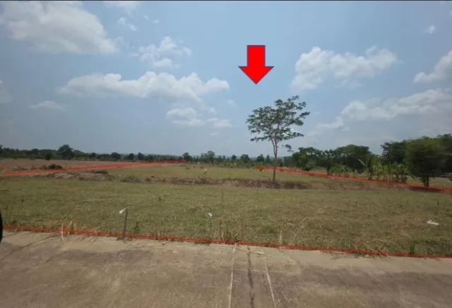 ขายทอดตลาด ที่ดินว่างเปล่า ต.เขวาทุ่ง อ.ธวัชบุรี จ.ร้อยเอ็ด
