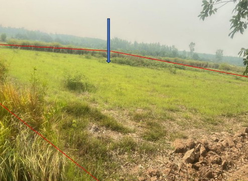 ขายทอดตลาด ที่ดินว่างเปล่า ต.โคกก่อง อ.เมืองบึงกาฬ จ.บึงกาฬ