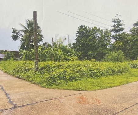 ขายทอดตลาด ที่ดินว่างเปล่า ต.บุ่งคล้า อ.บุ่งคล้า จ.บึงกาฬ