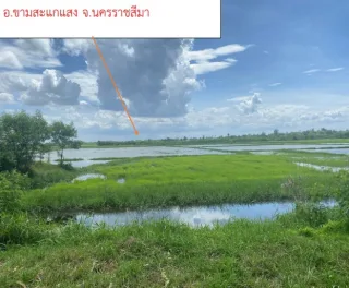 รูปทรัพย์ 1