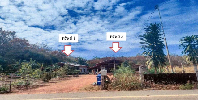 ขายทอดตลาด ที่ดินพร้อมสิ่งปลูกสร้าง ต.โนนสมบูรณ์ อ.เมืองบึงกาฬ จ.บึงกาฬ