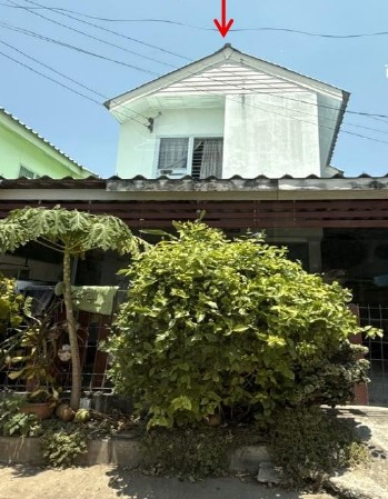 ขายทอดตลาด ที่ดินพร้อมสิ่งปลูกสร้าง ต.หนองบัวศาลา อ.เมืองนครราชสีมา จ.นครราชสีมา