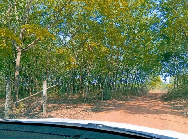 ขายทอดตลาด ที่ดินว่างเปล่า ต.ไคสี อ.เมืองบึงกาฬ จ.บึงกาฬ