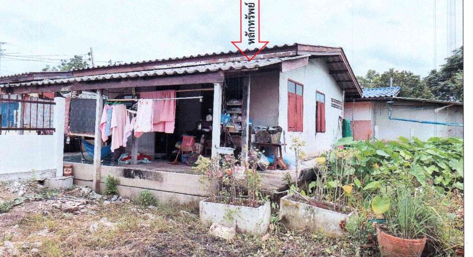 ขายทอดตลาด ที่ดินพร้อมสิ่งปลูกสร้าง ต.บางลูกเสือ อ.องครักษ์ จ.นครนายก
