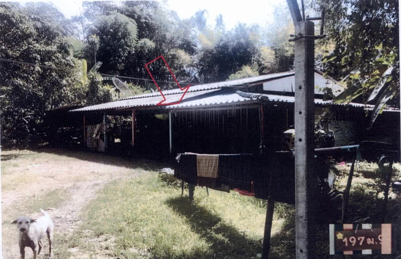 ขายทอดตลาด ที่ดินพร้อมสิ่งปลูกสร้าง ต.ป่าขะ อ.บ้านนา จ.นครนายก