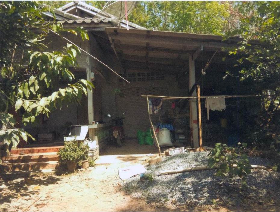 ขายทอดตลาด ที่ดินพร้อมสิ่งปลูกสร้าง ต.คลองยาง อ.เกาะลันตา จ.กระบี่