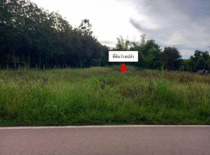 ขายทอดตลาด ที่ดินว่างเปล่า ต.ท่าสะอาด อ.เซกา จ.บึงกาฬ