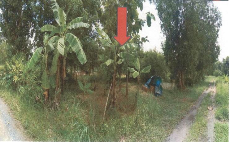 ขายทอดตลาด ที่ดินว่างเปล่า ต.พรหมณี อ.เมืองนครนายก จ.นครนายก