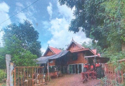 ขายทอดตลาด ที่ดินพร้อมสิ่งปลูกสร้าง ต.เสิงสาง อ.เสิงสาง จ.นครราชสีมา