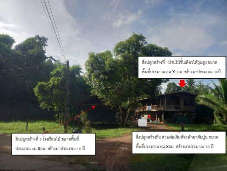 ขายทอดตลาด ที่ดินพร้อมสิ่งปลูกสร้าง ต.ท่ากกแดง อ.เซกา จ.บึงกาฬ