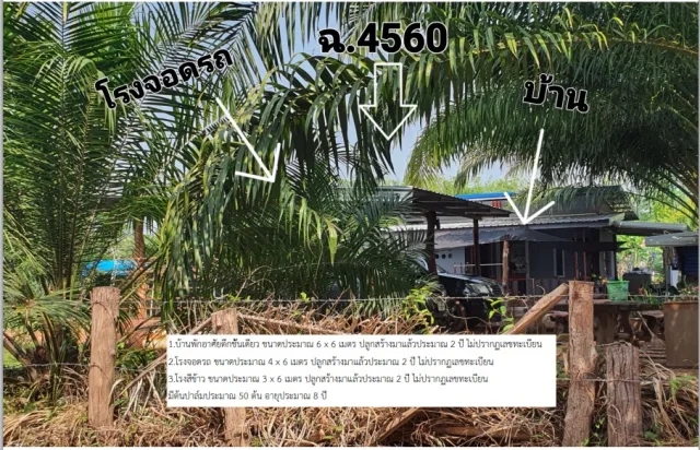 ขายทอดตลาด ที่ดินพร้อมสิ่งปลูกสร้าง ต.ท่าสะอาด อ.เซกา จ.บึงกาฬ